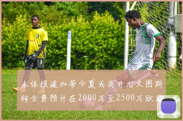 米体报道加蒂今夏或离开尤文图斯转会费预计在2000万至2500万欧元之间